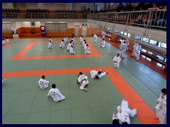 Kodokan Judo Institute 09